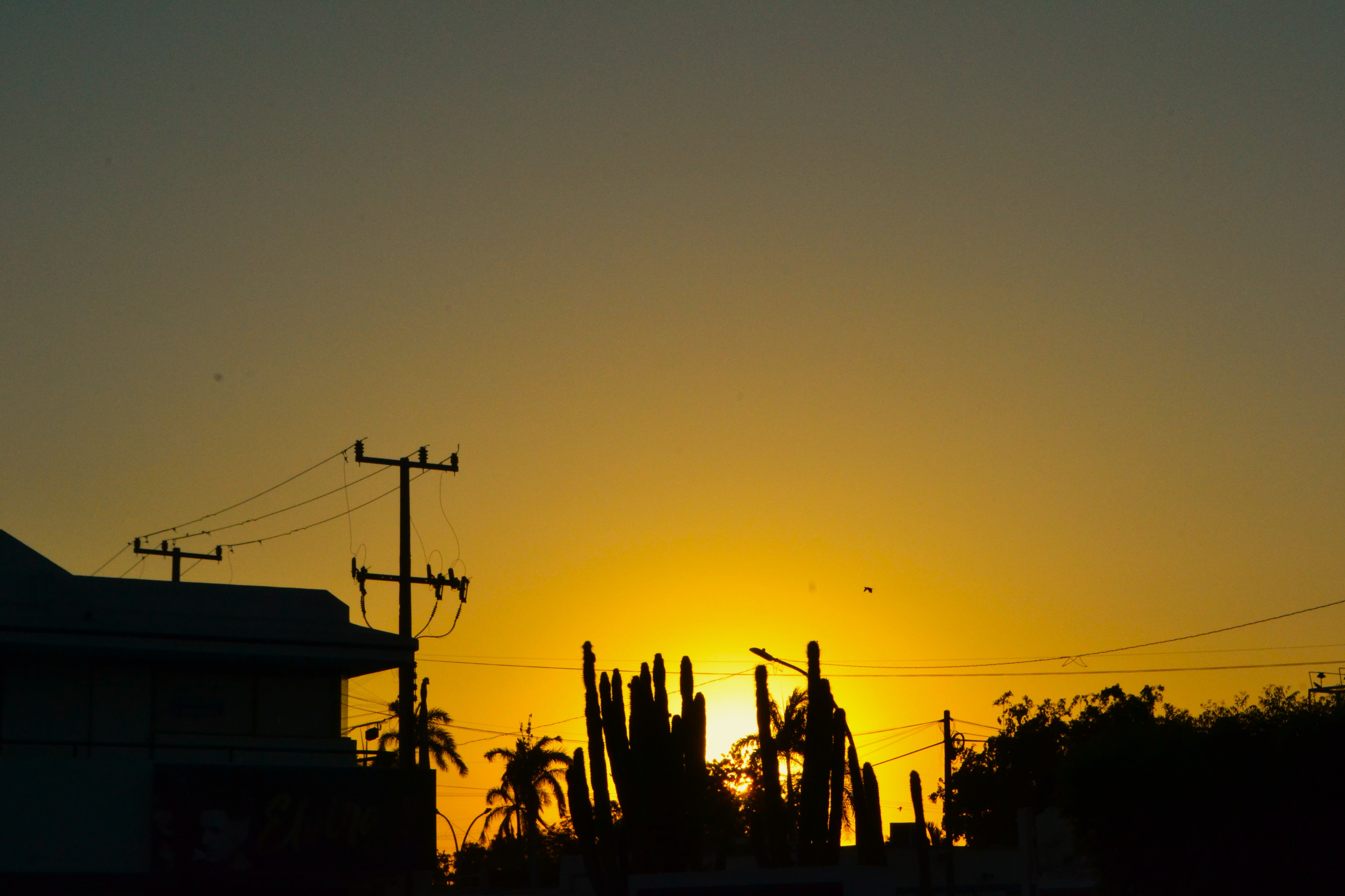 Contra las piedras el sol