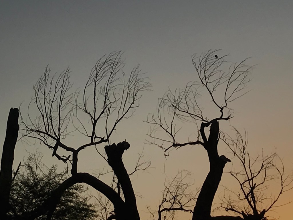Epístolas en el&nbsp;viento
