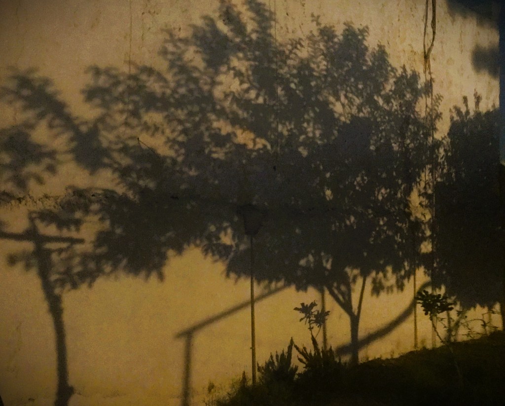 La Navidad es de todos y del que no la quiera,&nbsp;también