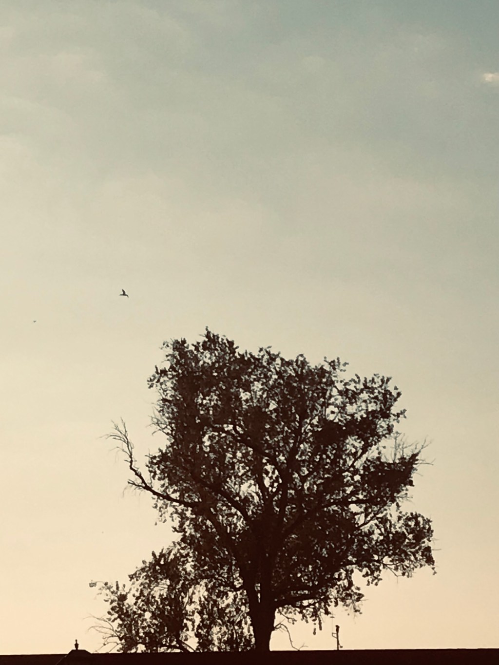 El fantasma de la&nbsp;Navidad