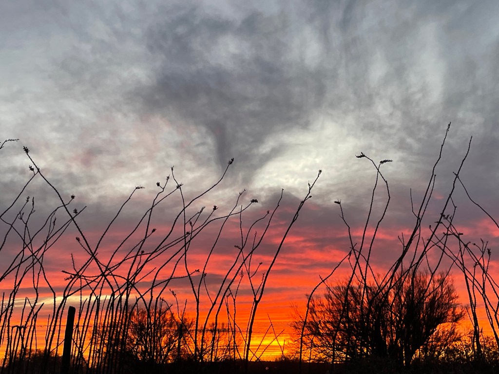 El día de San&nbsp;Juan